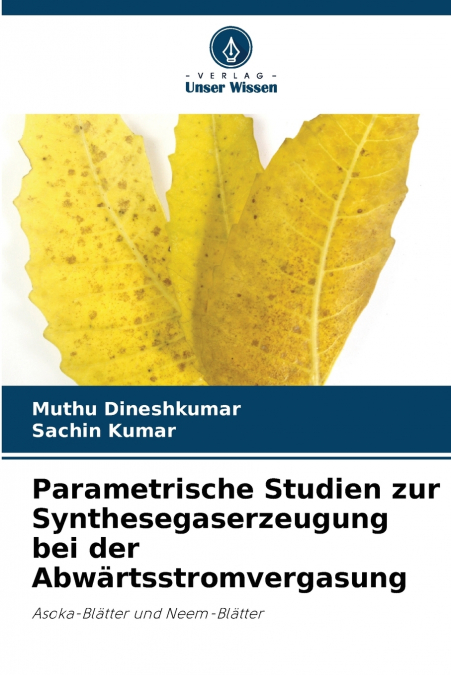 STUDI PARAMETRICI SULLA PRODUZIONE DI SYNGAS NELLA GASSIFICA