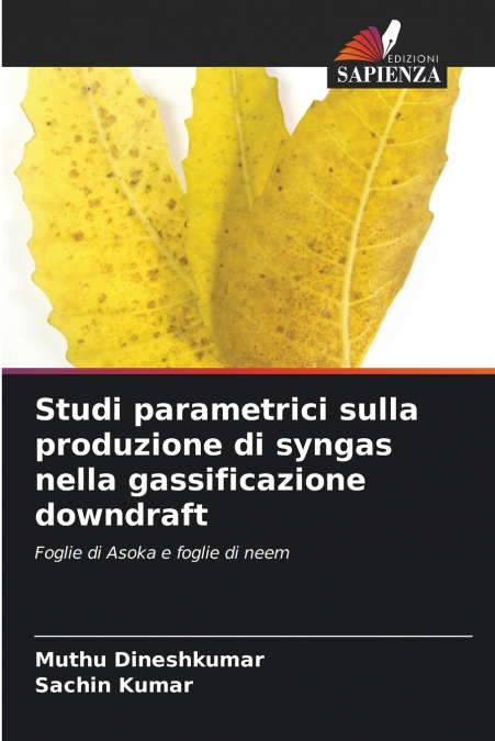 STUDI PARAMETRICI SULLA PRODUZIONE DI SYNGAS NELLA GASSIFICA