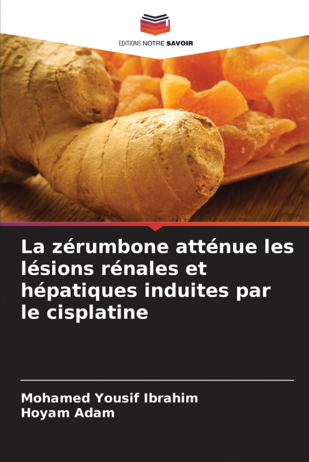 A ZERUMBONA ATENUA OS DANOS RENAIS E HEPATICOS INDUZIDOS PEL