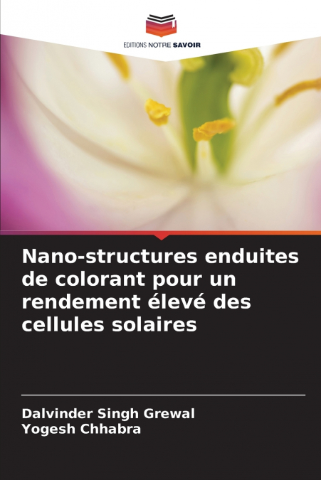 NANO-STRUCTURES ENDUITES DE COLORANT POUR UN RENDEMENT ELEVE
