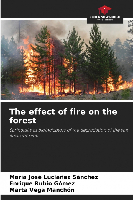 THE EFFECT OF FIRE ON THE FOREST