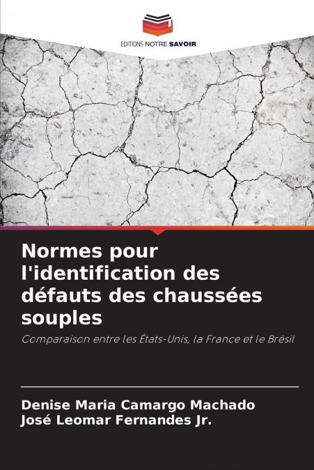 NORMES POUR L?IDENTIFICATION DES DEFAUTS DES CHAUSSEES SOUPL