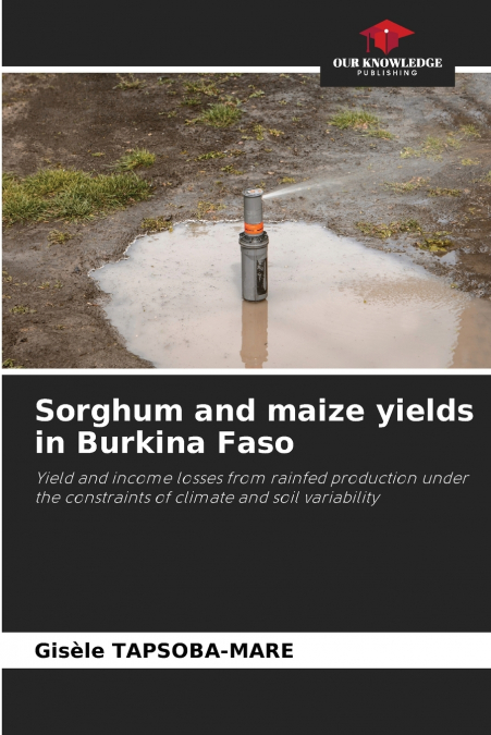 SORGHUM AND MAIZE YIELDS IN BURKINA FASO