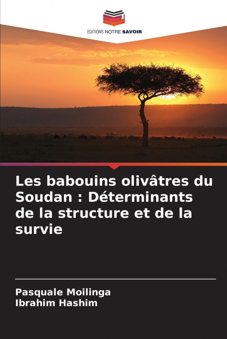 LES BABOUINS OLIVATRES DU SOUDAN