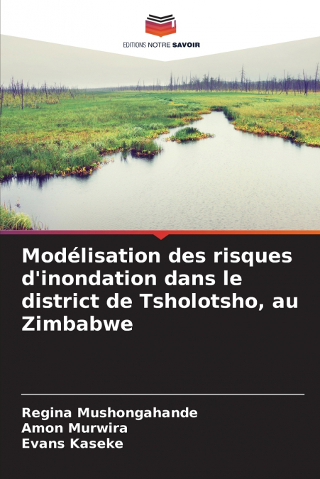 MODELISATION DES RISQUES D?INONDATION DANS LE DISTRICT DE TS