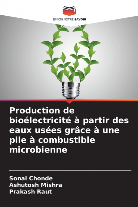 PRODUCTION DE BIOELECTRICITE A PARTIR DES EAUX USEES GRACE A