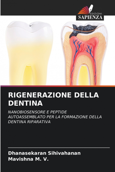 RIGENERAZIONE DELLA DENTINA