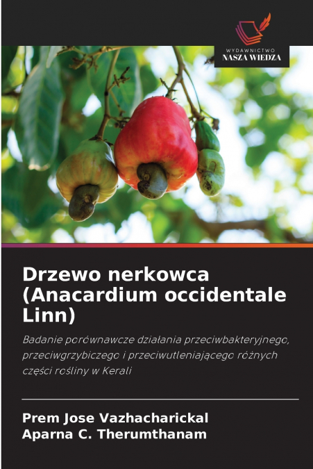 DRZEWO NERKOWCA (ANACARDIUM OCCIDENTALE LINN)
