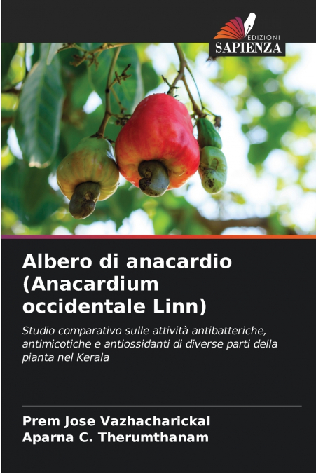 DRZEWO NERKOWCA (ANACARDIUM OCCIDENTALE LINN)
