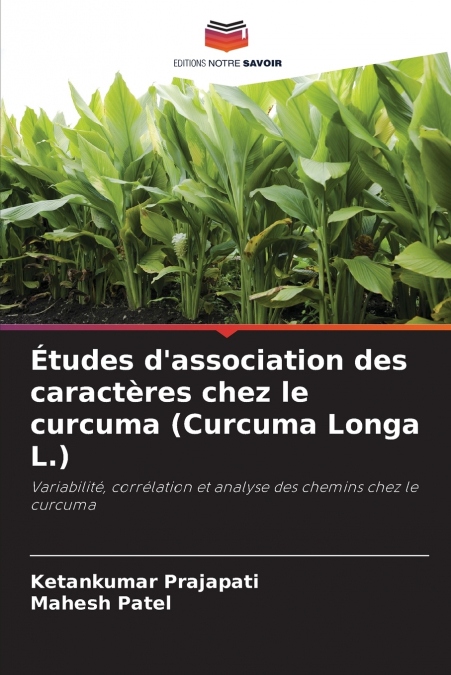 ETUDES D?ASSOCIATION DES CARACTERES CHEZ LE CURCUMA (CURCUMA