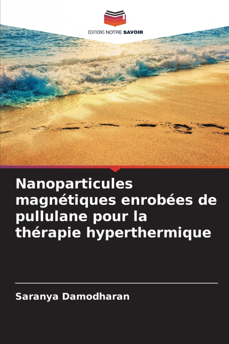 NANOPARTICULES MAGNETIQUES ENROBEES DE PULLULANE POUR LA THE
