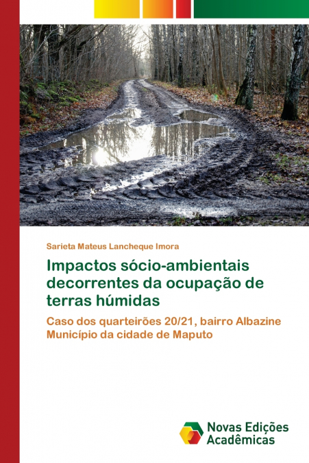 IMPACTOS SOCIO-AMBIENTAIS DECORRENTES DA OCUPA�AO DE TERRAS