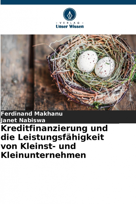 KREDITFINANZIERUNG UND DIE LEISTUNGSFAHIGKEIT VON KLEINST- U