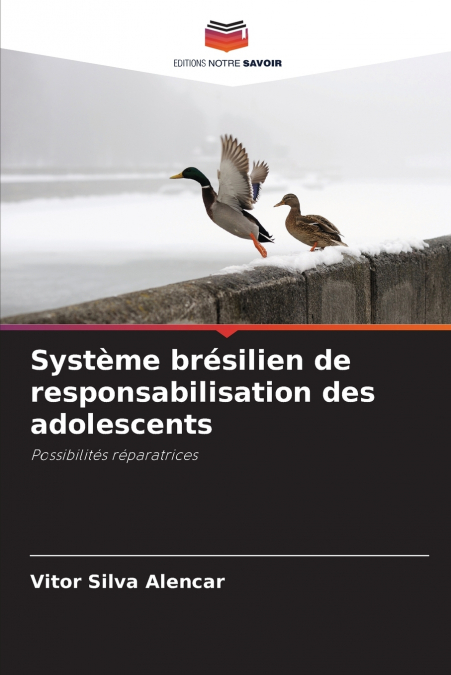 SYSTEME BRESILIEN DE RESPONSABILISATION DES ADOLESCENTS
