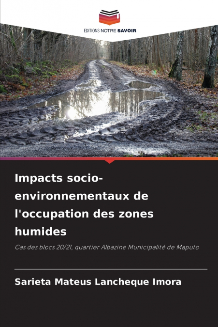 IMPACTS SOCIO-ENVIRONNEMENTAUX DE L?OCCUPATION DES ZONES HUM