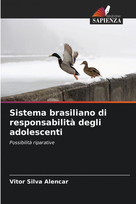 SISTEMA BRASILIANO DI RESPONSABILITA DEGLI ADOLESCENTI