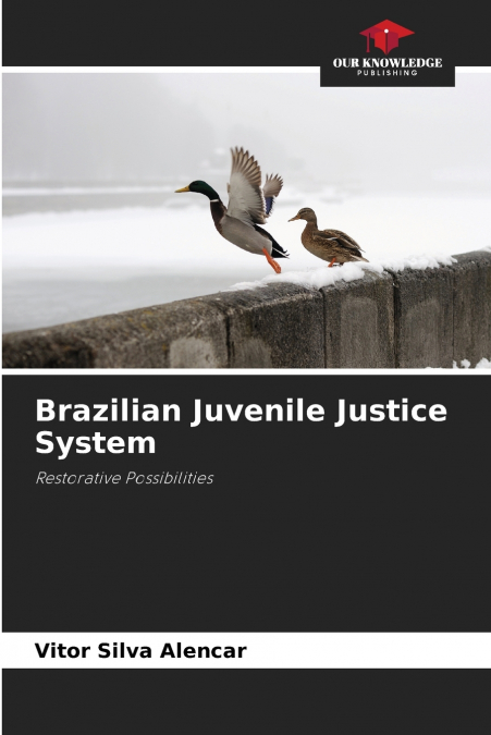 BRAZILIAN JUVENILE JUSTICE SYSTEM
