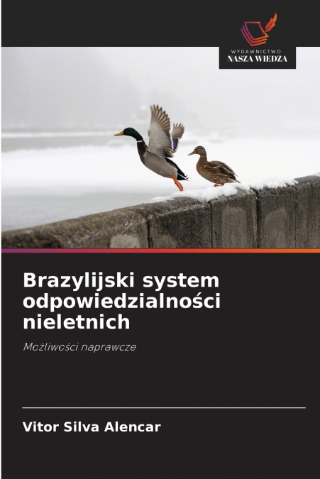 BRAZYLIJSKI SYSTEM ODPOWIEDZIALNO?CI NIELETNICH
