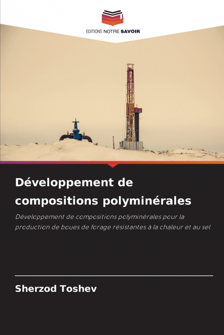 DEVELOPPEMENT DE COMPOSITIONS POLYMINERALES