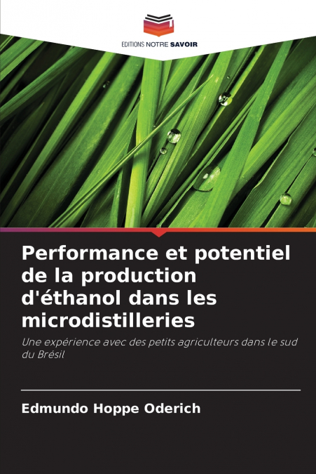 PERFORMANCE ET POTENTIEL DE LA PRODUCTION D?ETHANOL DANS LES