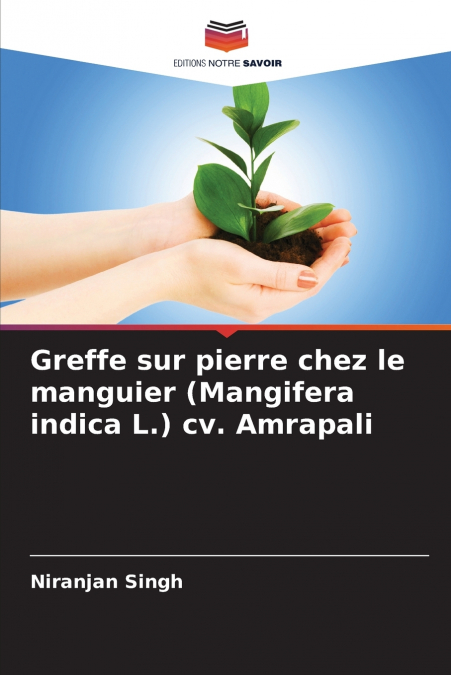GREFFE SUR PIERRE CHEZ LE MANGUIER (MANGIFERA INDICA L.) CV.