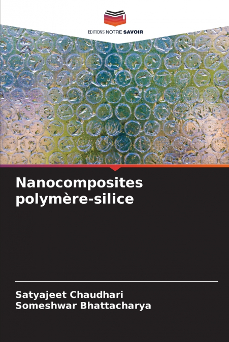 NANOCOMPOSITES POLYMERE-SILICE
