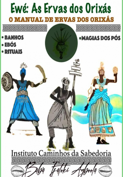 LIVRO DOS 256 ODUS: RITUAIS, EBOS E BANHOS DE PODER