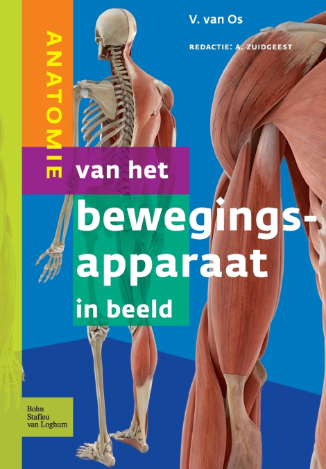 ANATOMIE VAN HET BEWEGINGSAPPARAAT IN BEELD