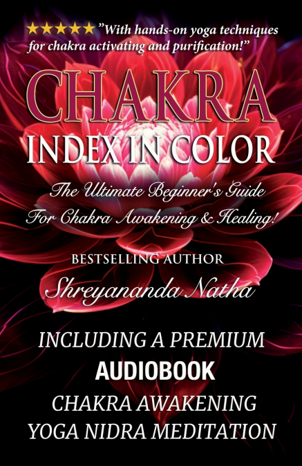 CHAKRA INDEX IN COLOR