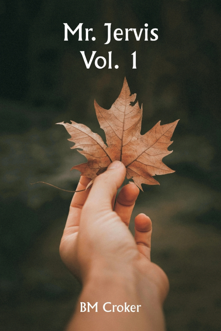 MR. JERVIS VOL. 1