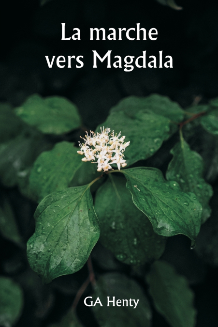 LA MARCHE VERS MAGDALA