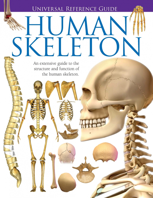 UNIVERSAL REFERENCE GUIDE - HUMAN SKELETON