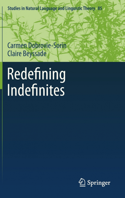 REDEFINING INDEFINITES