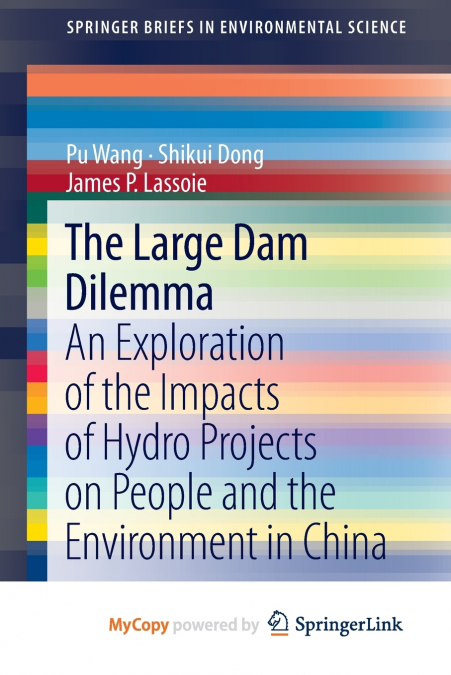 THE LARGE DAM DILEMMA