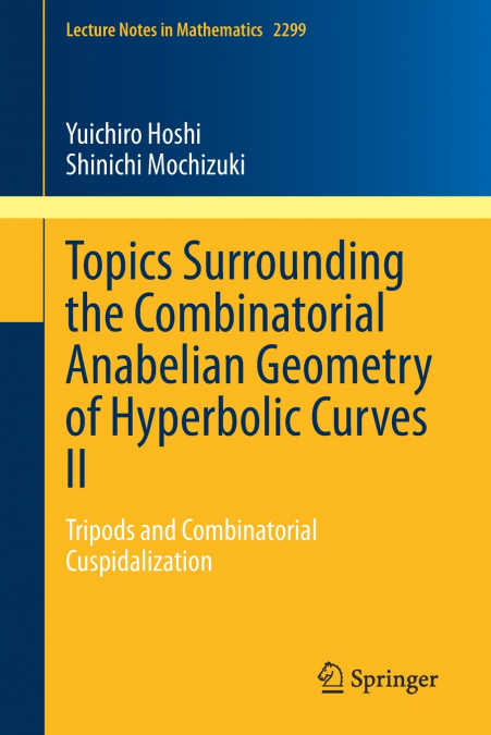 TOPICS SURROUNDING THE COMBINATORIAL ANABELIAN GEOMETRY OF H