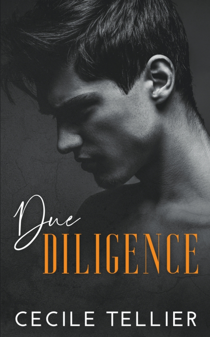 DUE DILIGENCE