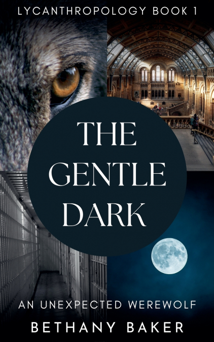 THE GENTLE DARK