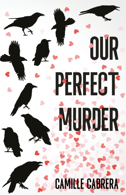 OUR PERFECT MURDER
