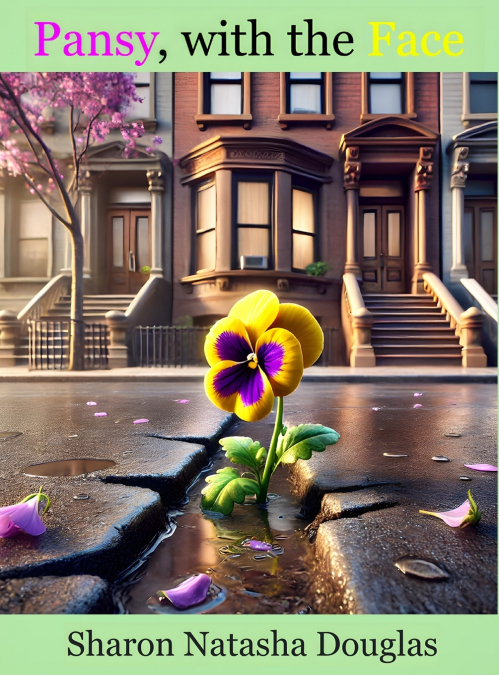 CHAMAN DE LOS CUATRO VIENTOS, EL