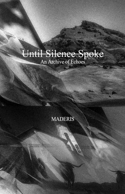 UNTIL SILENCE SPOKE