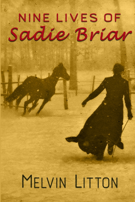 NINE LIVES OF SADIE BRIAR