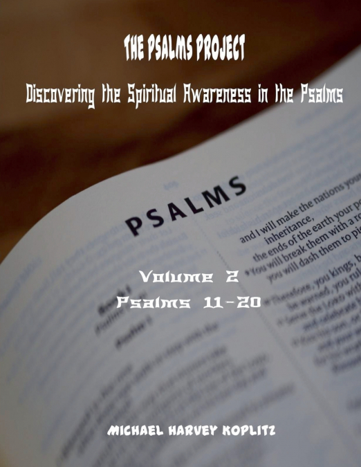 THE PSALMS PROJECT VOLUME TWO DISCOVERING THE SPIRITUAL WORL