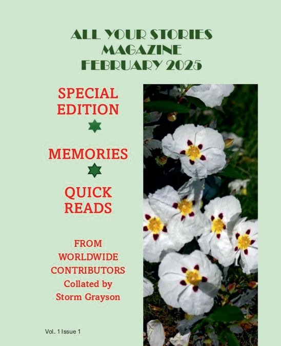 ALL YOUR STORIES MAGAZINE