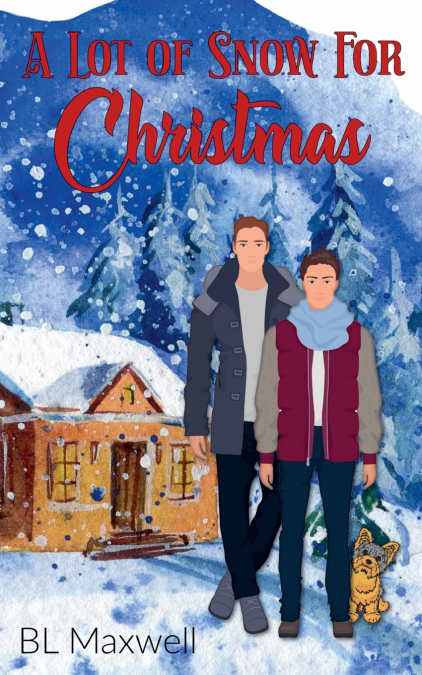 A LOT OF SNOW FOR CHRISTMAS