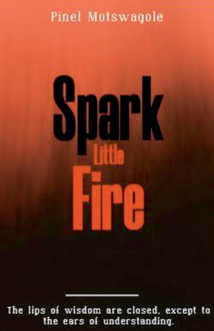 SPARK LITTLE FIRE