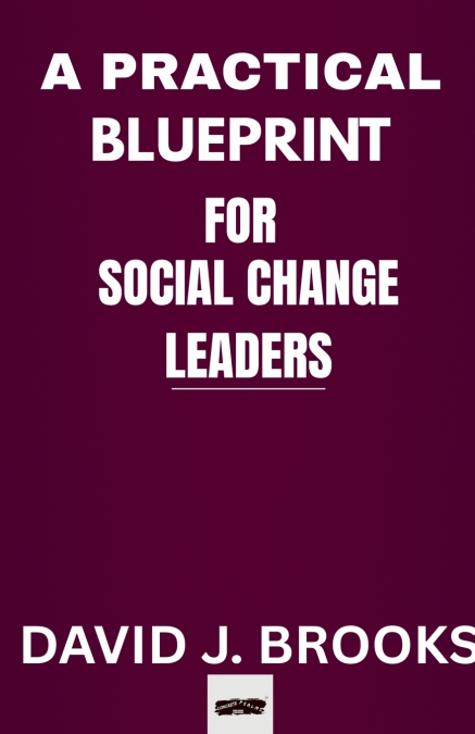 A PRACTICAL BLUEPRINT FOR SOCIAL CHANGE LEADERS