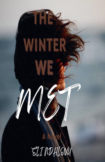 THE WINTER WE MET