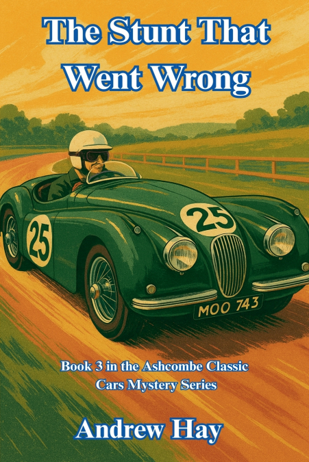 THE STUNT THAT WENT WRONG