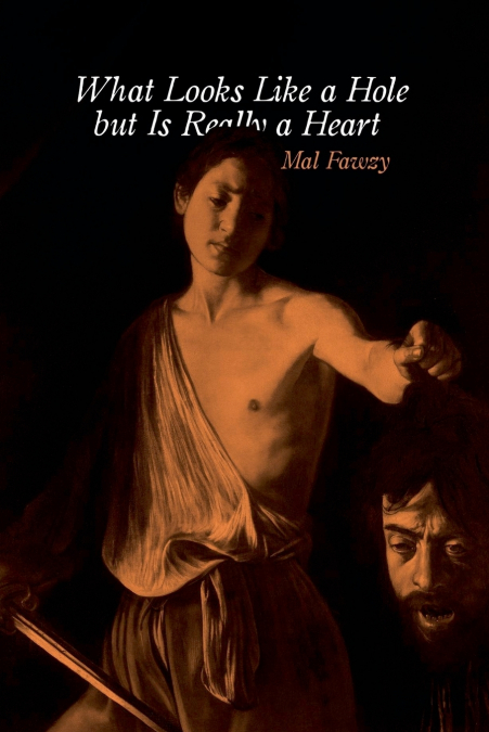 WHAT LOOKS LIKE A HOLE, BUT IS REALLY A HEART