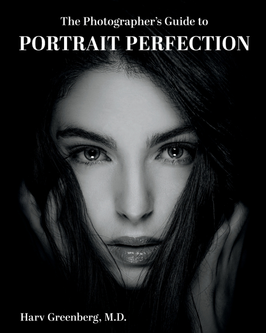THE PHOTOGRAPHER?S GUIDE TO PORTRAIT PERFECTION